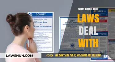 Understanding Labor Laws: Rights, Regulations, and Workplace Protections Explained