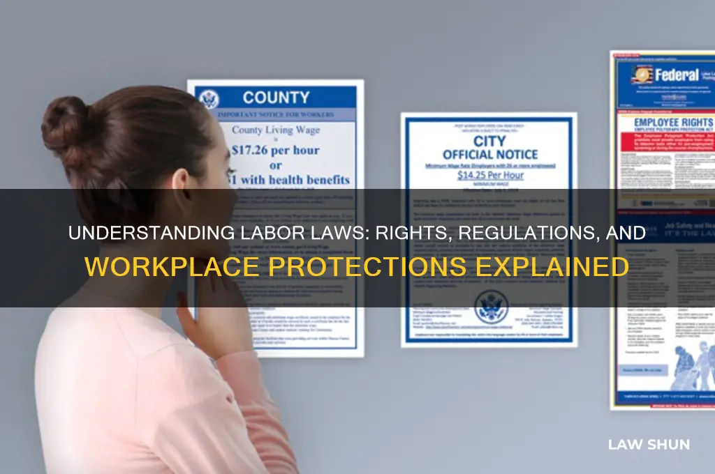 what does labor laws deal with