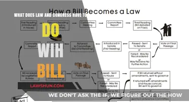 Understanding the Role of Law and Congress in Bill Creation