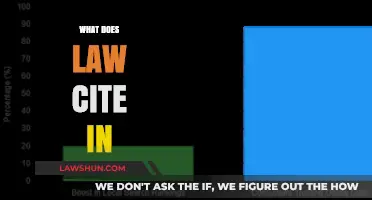 What Does Law Cite In: Sources and Authorities Explained