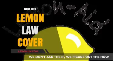 Understanding Lemon Law Coverage: What It Protects and Excludes