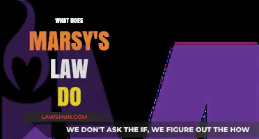 Understanding Marsy's Law: Empowering Victims in the Legal Process