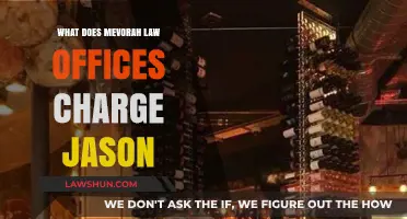 Mevorah Law Offices' Fees for Jason's Case: A Detailed Breakdown