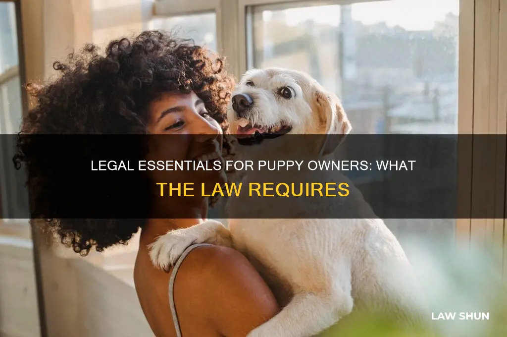 what does my puppy need by law