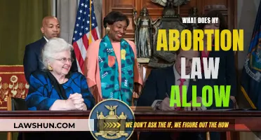 New York Abortion Law: What's Allowed and What's Not