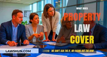 Understanding Property Law: Scope, Rights, and Legal Protections Explained