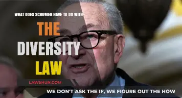 Schumer's Role in Advancing the Diversity Law Explained