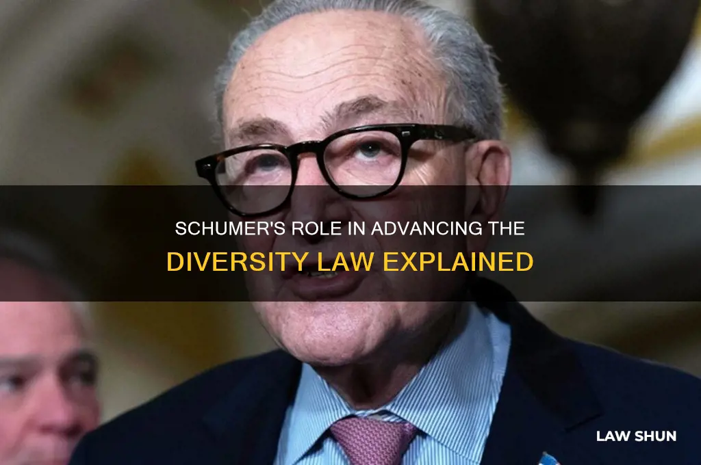 what does schumer have to do with the diversity law