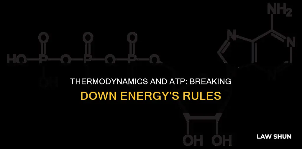 what does second law of thermodynamics relate to atp breaking