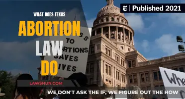 Texas Abortion Law: Understanding the Impact and Implications