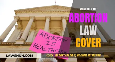 Understanding Abortion Law: What Does It Actually Cover?