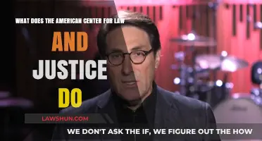 Understanding the American Center for Law and Justice's Mission and Impact