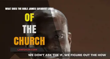 James' Biblical Insights on Church Laws and Christian Conduct