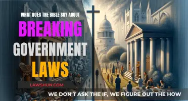 Breaking Laws: A Biblical Perspective on Civil Disobedience