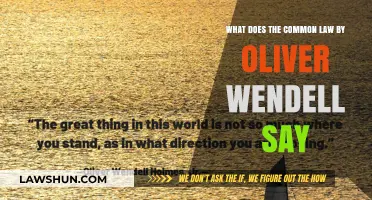 Oliver Wendell's Common Law: A Critical Analysis