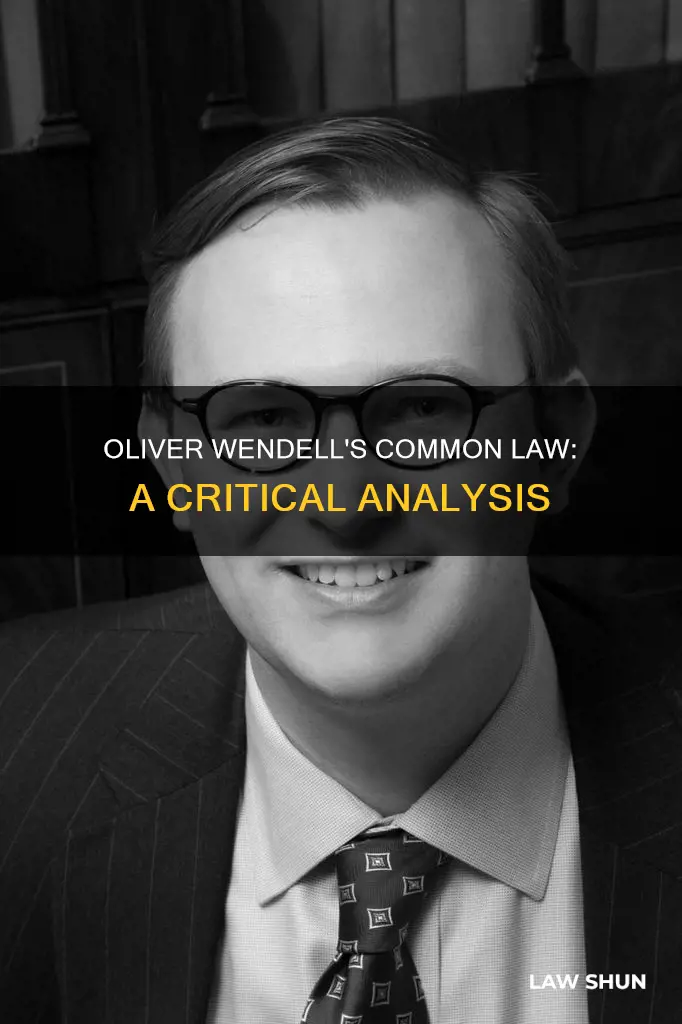 what does the common law by oliver wendell say