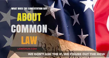 Constitution and Common Law: What's the Connection?