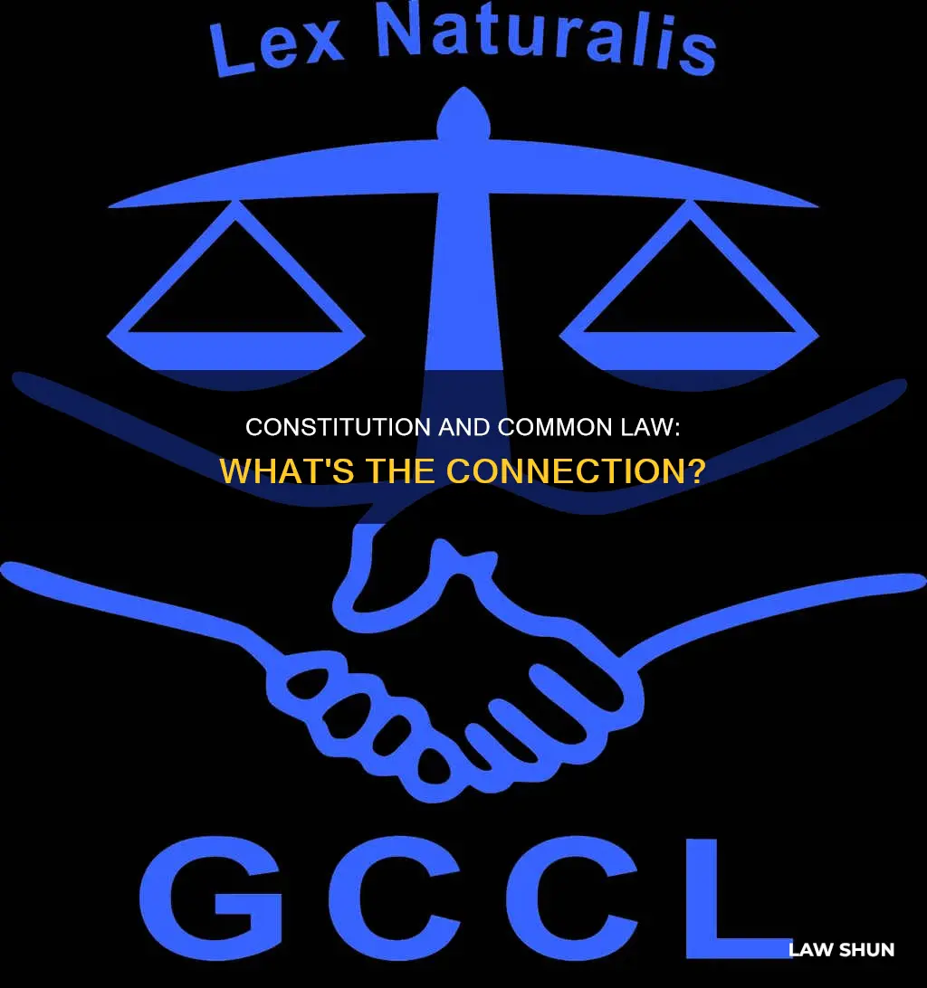 what does the constitution say about common law