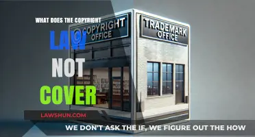 Unprotected Creations: What Copyright Law Doesn't Cover Explained