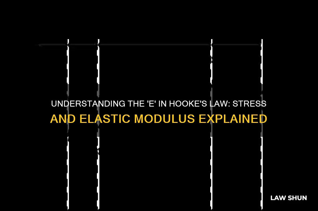what does the e represent in hooke
