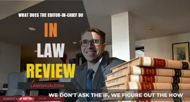 Editor-in-Chief's Role: Leading and Shaping Law Review Publications