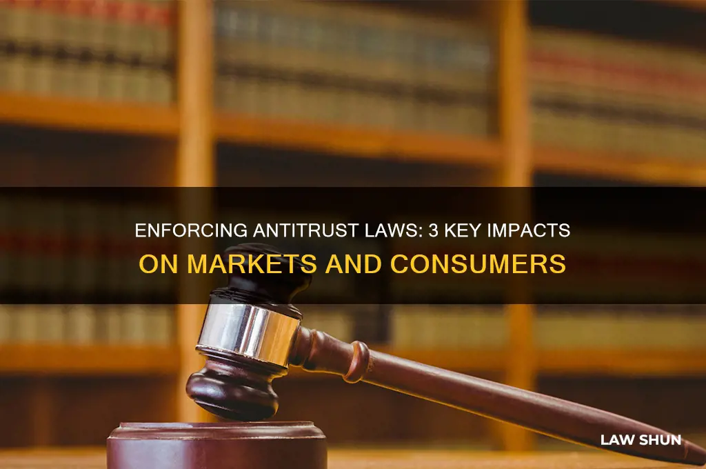 what does the enofrcement of antirust laws do 3 points