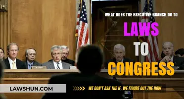 Executive Branch's Role in Shaping Laws: Congress Collaboration Explained