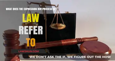 Understanding Due Process of Law: Meaning, Importance, and Legal Implications