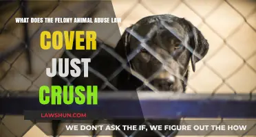 Understanding Felony Animal Abuse Laws: Coverage and Just Crush Cases