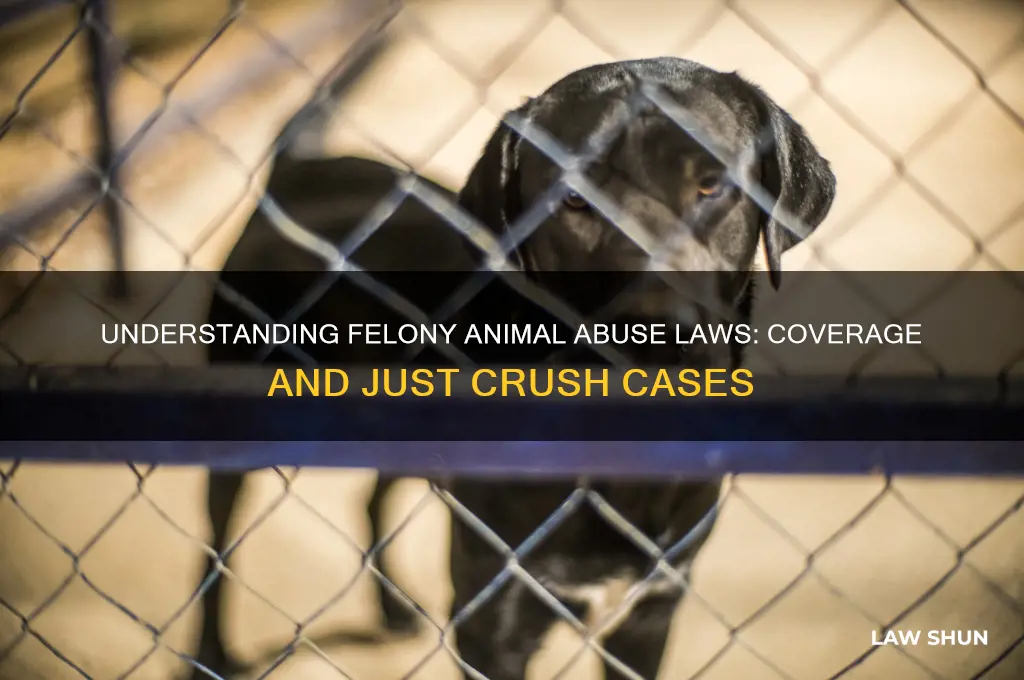 what does the felony animal abuse law cover just crush