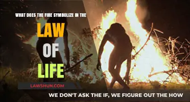 Fire's Symbolic Power in 'The Law of Life': Survival and Transformation