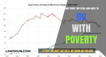 FLSA Law Impact: How It Influences Poverty in America