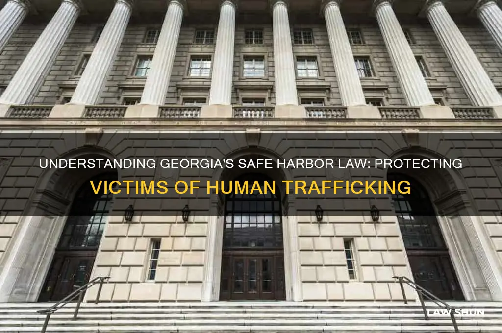 what does the georgia sheid law look like