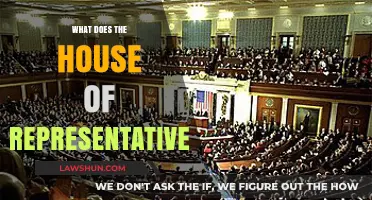 Understanding the Role and Responsibilities of the House of Representatives