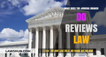 Understanding the Judicial Branch: How It Reviews and Interprets Laws