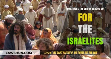 Exodus Laws: Shaping Identity, Order, and Covenant for Israelites