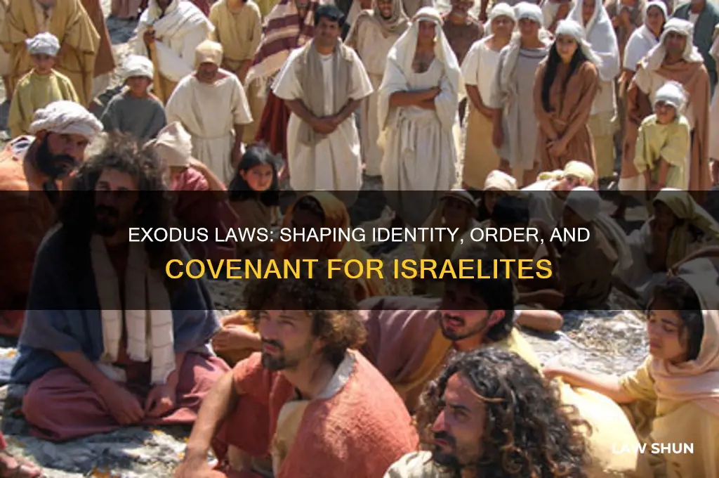 what does the law in exodus do for the israelites