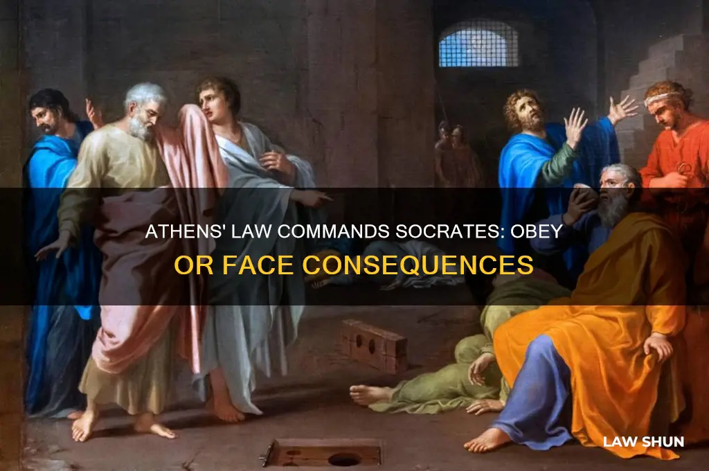 what does the law of athens tell socrates to do