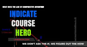 Understanding Comparative Advantage: Key Insights from Course Hero Explained