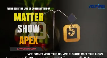 Exploring the Law of Conservation of Matter: Key Principles and Applications