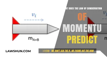 Understanding Momentum Conservation: Predicting Outcomes in Physical Interactions
