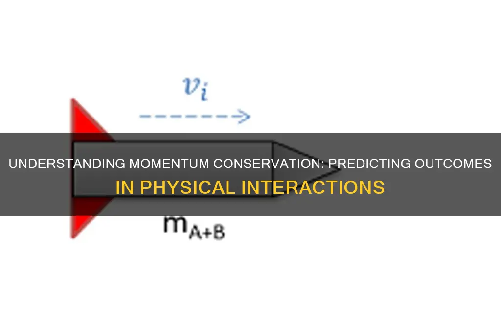what does the law of conservation of momentum predict