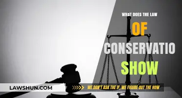 Understanding the Law of Conservation: Energy, Matter, and Universal Balance