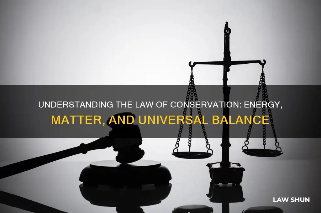 what does the law of conservation show