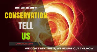 Understanding the Law of Conservation: Energy, Mass, and Eternal Principles