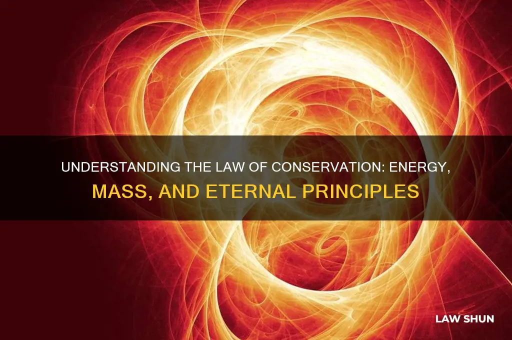 what does the law of conservation tell us
