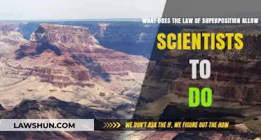 Unraveling Earth's Layers: How the Law of Superposition Guides Scientists