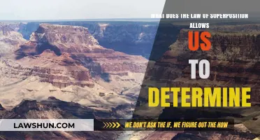 Understanding the Law of Superposition: Unlocking Geological Time and Stratigraphy