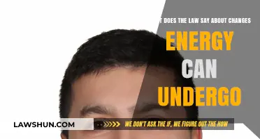 Energy Transformations: Legal Insights on Energy Changes