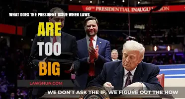 Executive Orders: How Presidents Act When Laws Become Too Big